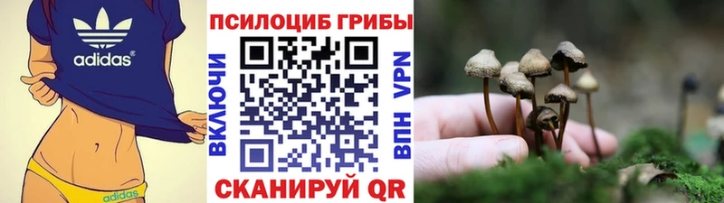 блэк спрут ССЫЛКА  Таштагол  Псилоцибиновые грибы мухоморы 